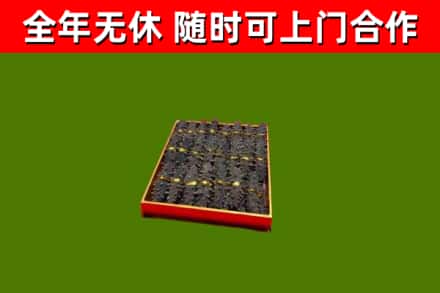 城中回收海参